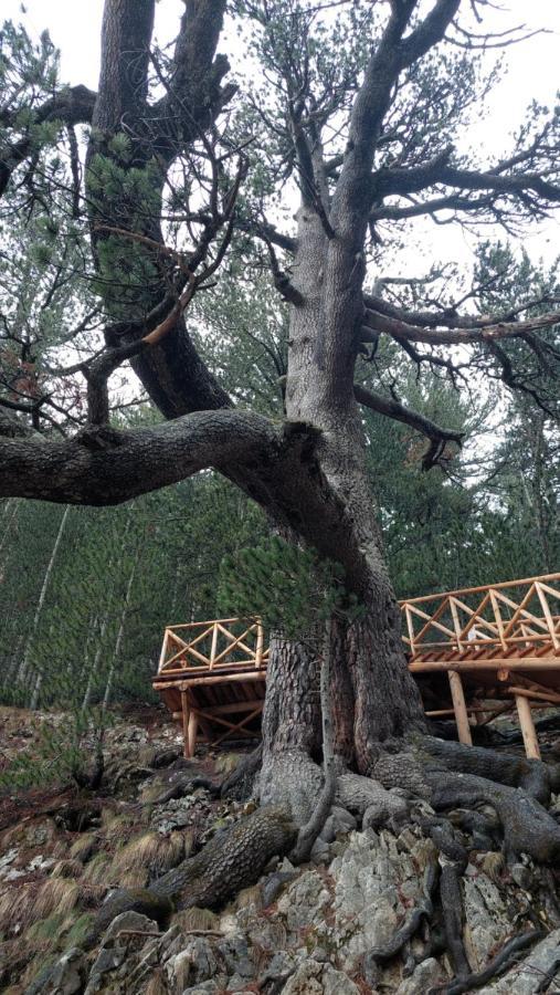 Free Spa В Св. Иван Рилски - Сладък Дом Сред Лукс Bansko Exterior photo